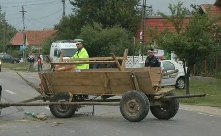 Pufești: căruțaș beat, răsturnat cu atelajul pe asfalt