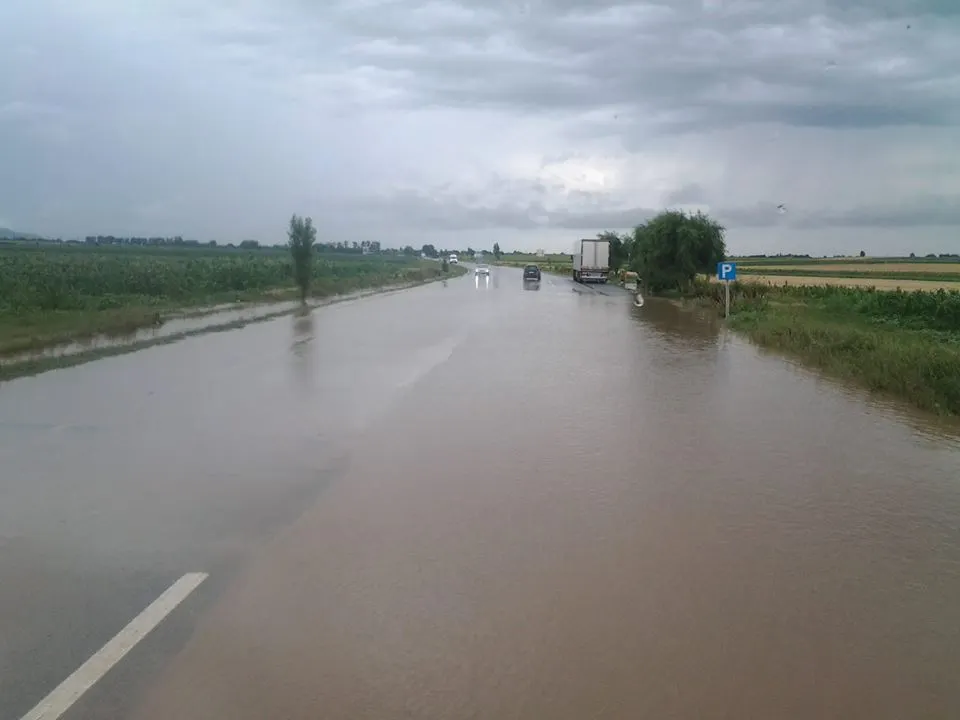 Aluviunile ocupă o bandă de mers pe E85, între Ruginești și Domnești