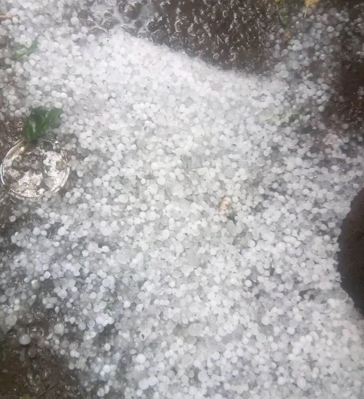 Cod portocaliu de vijelii și grindină în câteva localități din Vrancea