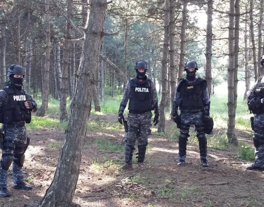 Ce măsuri au luat polițiștii în urma perchezițiilor din zona de munte