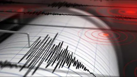 Cutremur de 3.6 în Vrancea