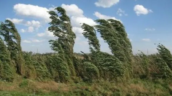 Meteo: cod galben de intensificări ale vântului, până în această după-amiază