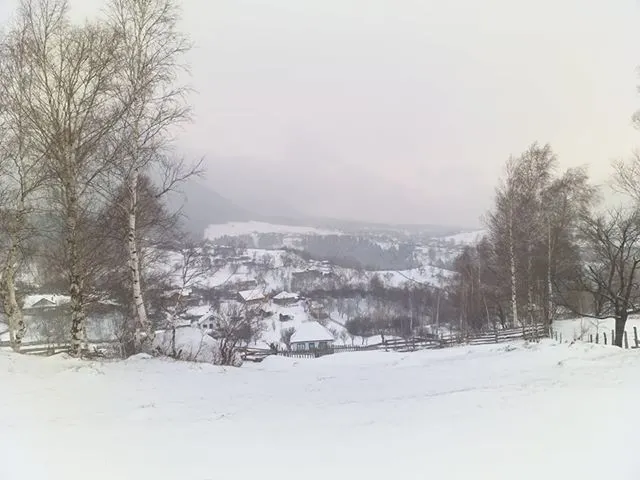 FOTO   ”Babele” au ajuns în Munții Vrancei