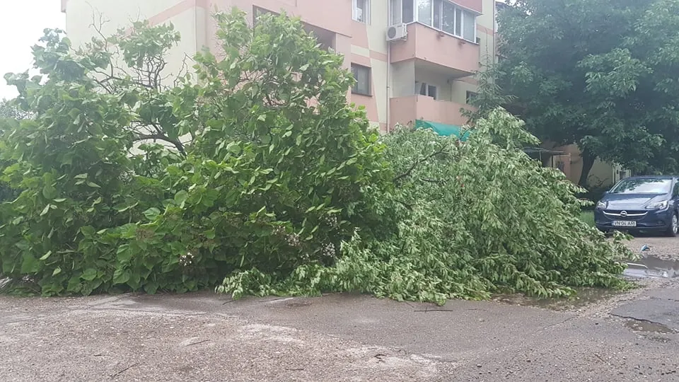ULTIMA ORĂ Copaci căzuți și acoperișuri smulse, în Focșani, după furtună