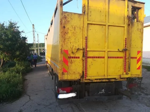 Transport ilegal de bovine, oprit la Galați. Animalele erau din Vrancea și din alte 4 județe