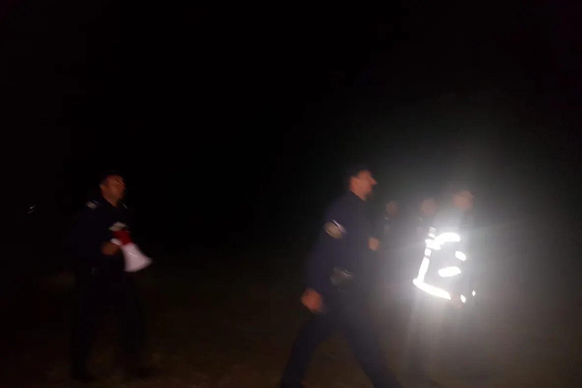 Un bătrân a plecat în pădure să adune surcele și nu s-a mai întors