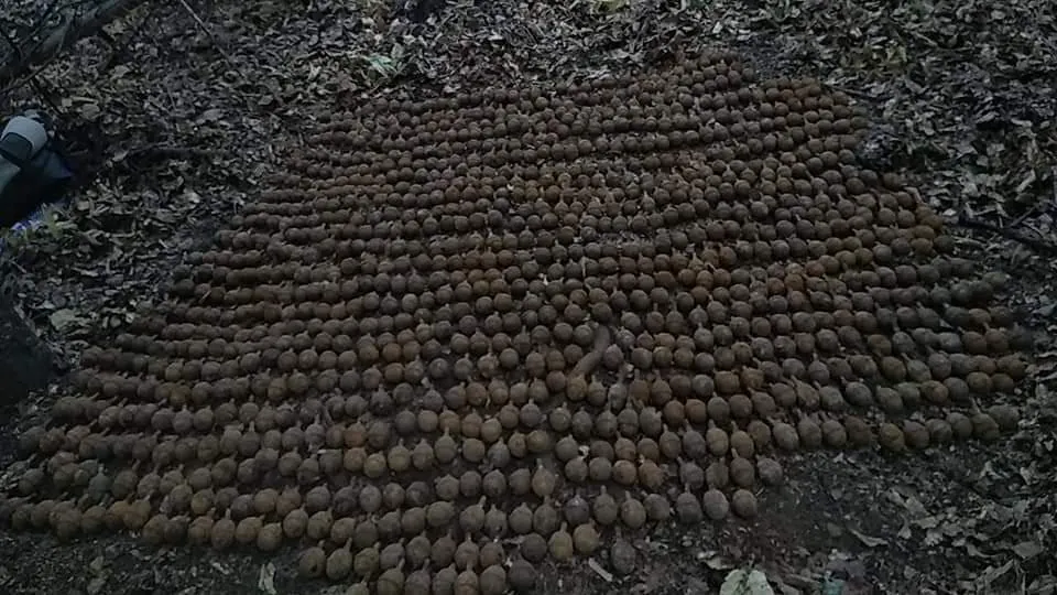"Captură" record de peste o mie de grenade neexplodate din Primul Război Mondial, la Câmpuri
