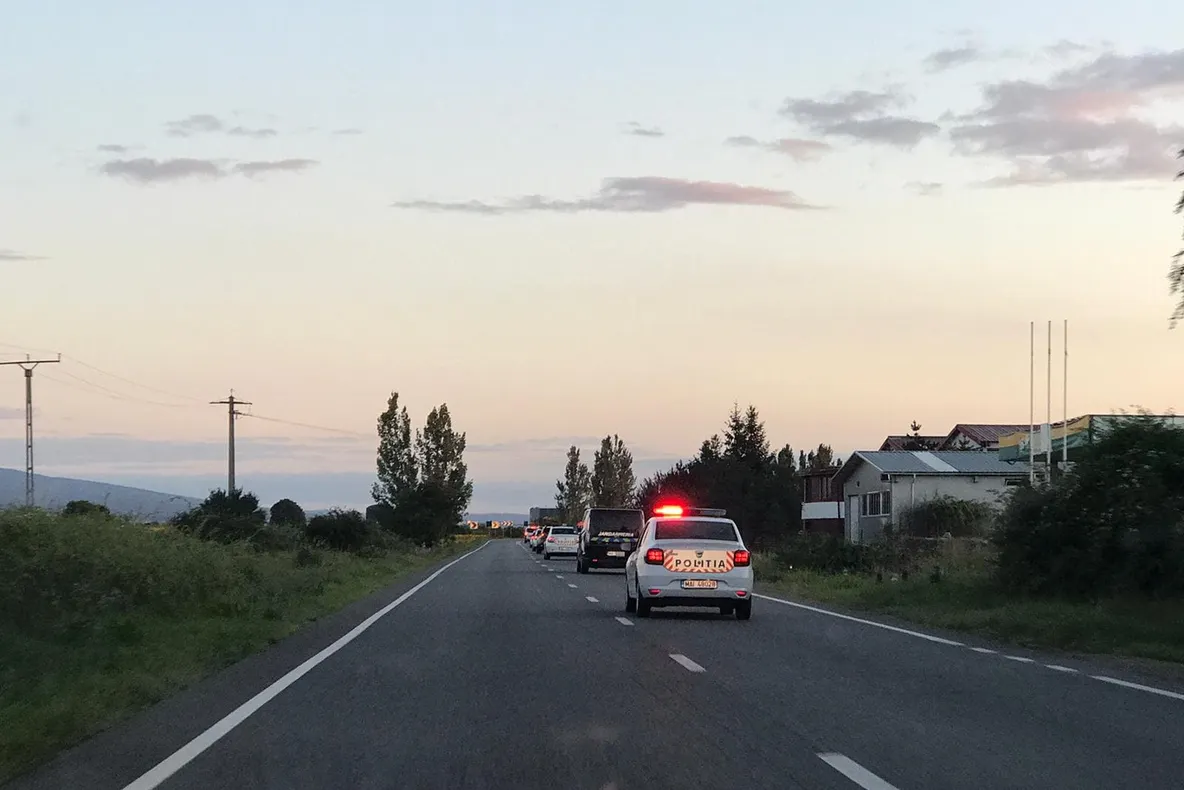 ULTIMA ORĂ Percheziții la toporatorii din Vrancea, Galați, Călărași și București