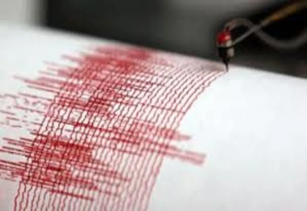Cutremur de 4,5 în Vrancea. Seismul s-a simțit în mai multe județe