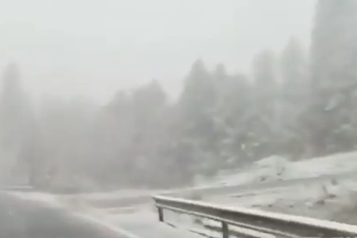 VIDEO Ninsoare pe Ojdula