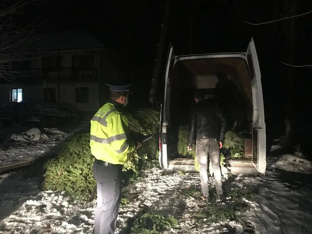 Noi amenzi și confiscări ale Poliției la hoții de brazi
