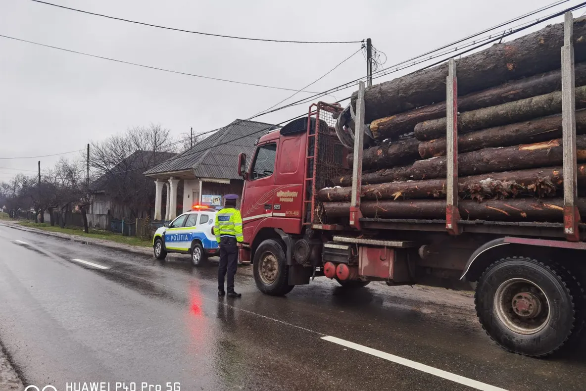 Controale intensificate la hoții de brazi din Vrancea