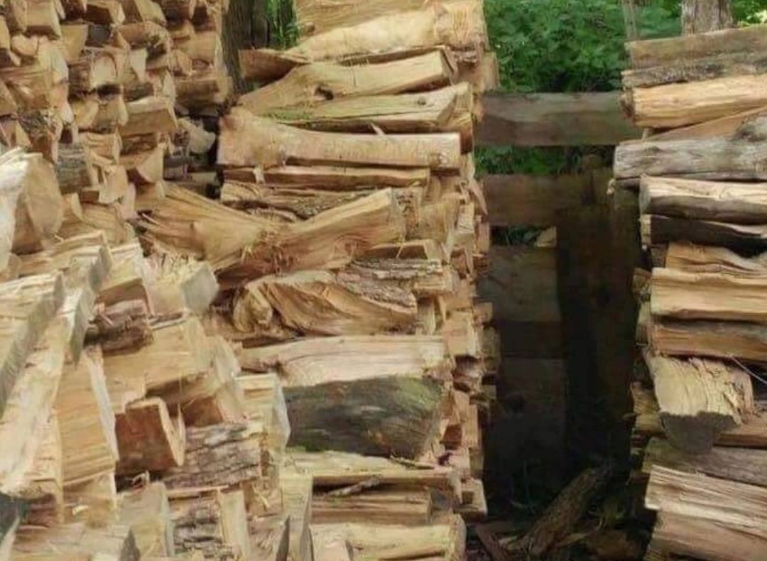 Se fură lemne ca-n codru în Vrancea