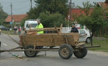 Pufești: căruțaș beat, răsturnat cu atelajul pe asfalt