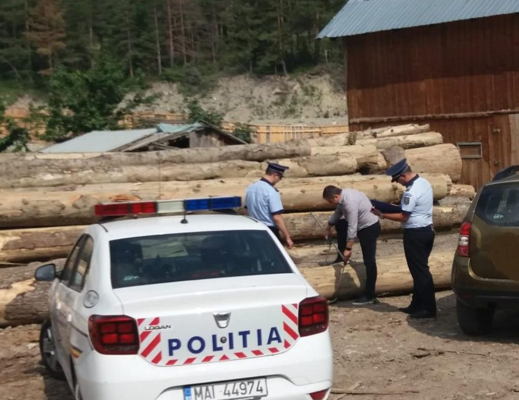 Amenzi, confiscări și dosare penale în urma descinderilor la depozitele de lemne