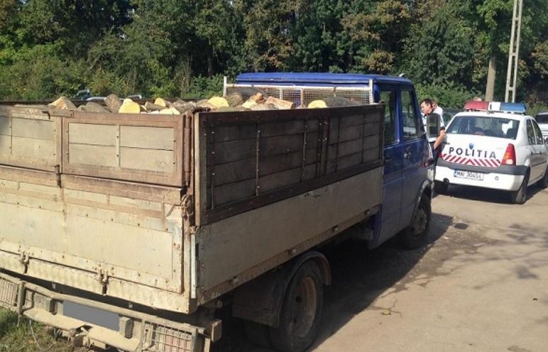 Au vrut să facă afaceri cu lemnele aduse de viituri și au intrat în vizorul polițiștilor