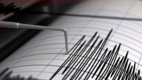 Trei cutremure, azi noapte, în Zona seismică Vrancea