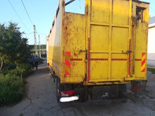 Transport ilegal de bovine, oprit la Galați. Animalele erau din Vrancea și din alte 4 județe