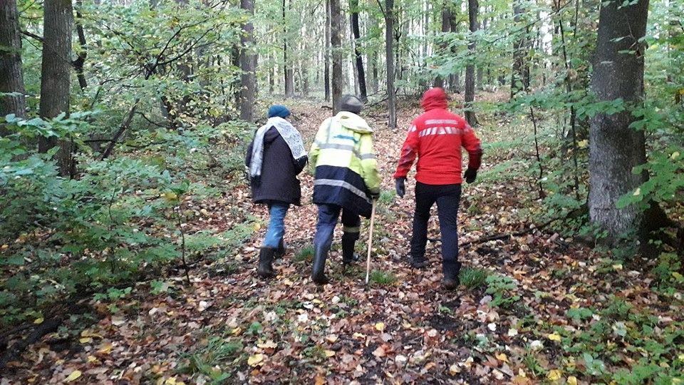 Mobilizare de forțe, azi noapte, în căutarea a doi ciobani dispăruți pe Valea Râmnicului