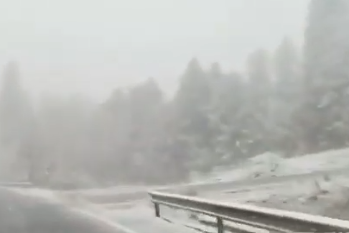 VIDEO Ninsoare pe Ojdula