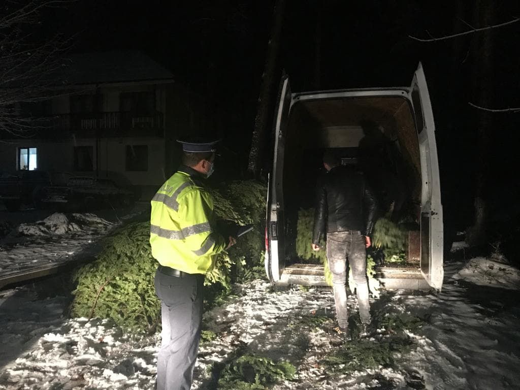 Noi amenzi și confiscări ale Poliției la hoții de brazi