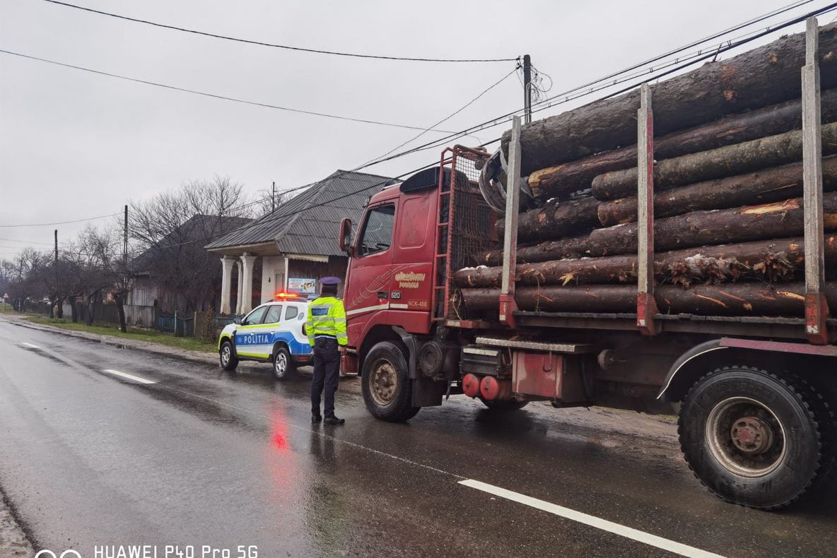 Controale intensificate la hoții de brazi din Vrancea