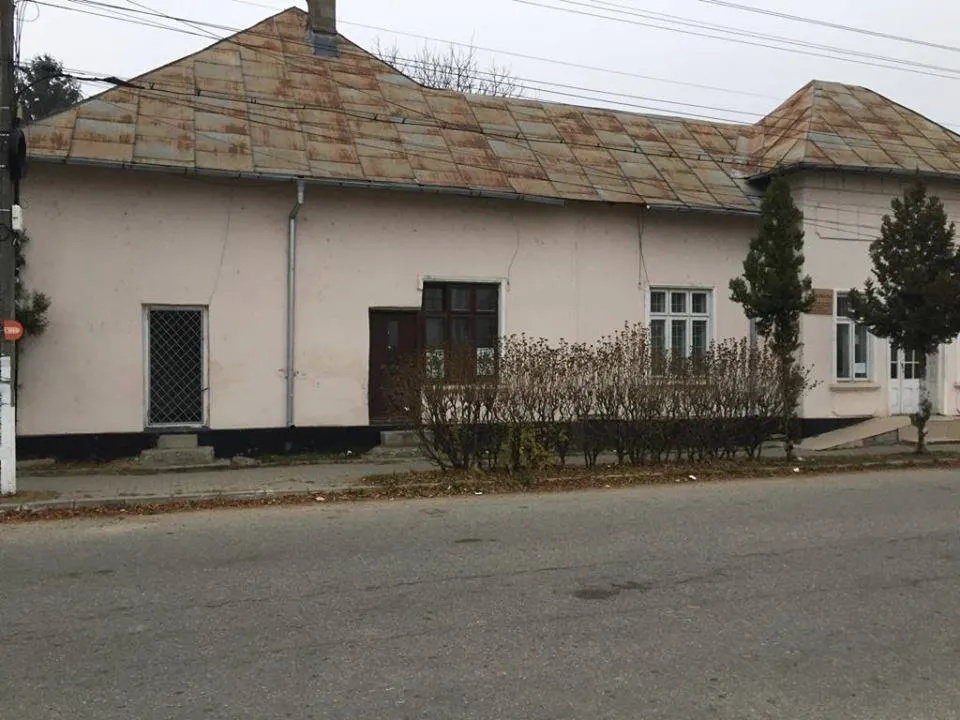 gradi5