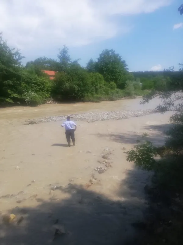 disparut tulnici 2