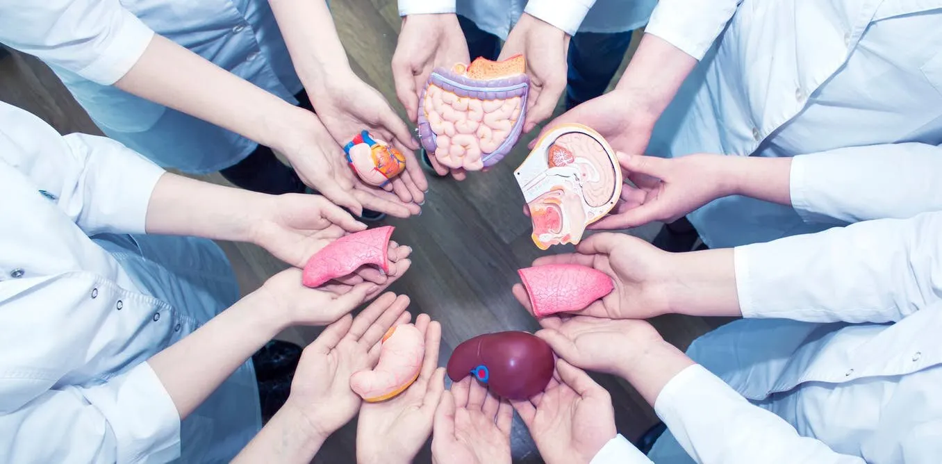 organtranspl