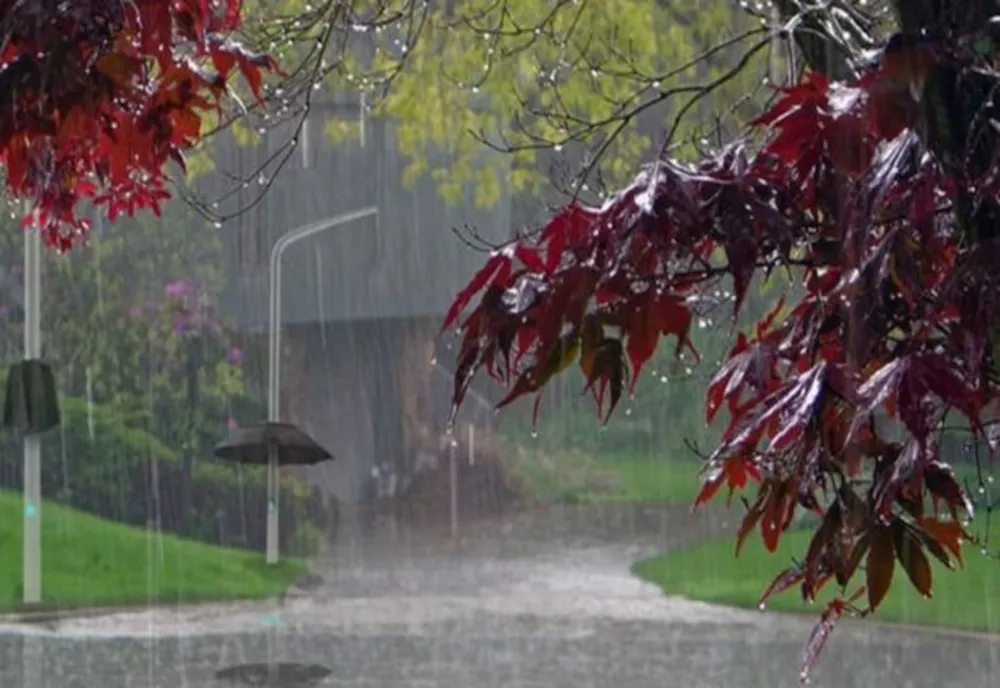 Alertă meteo: Cod galben de furtuni violente. Zonele lovite de vijelii puternice