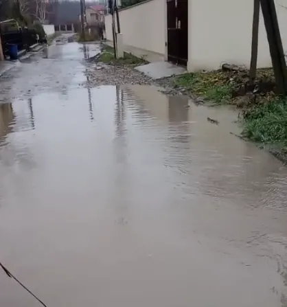 balti Vanatori Vrancea