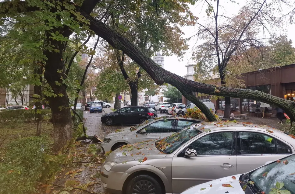 copac masina Simion Barnutiu Focsani