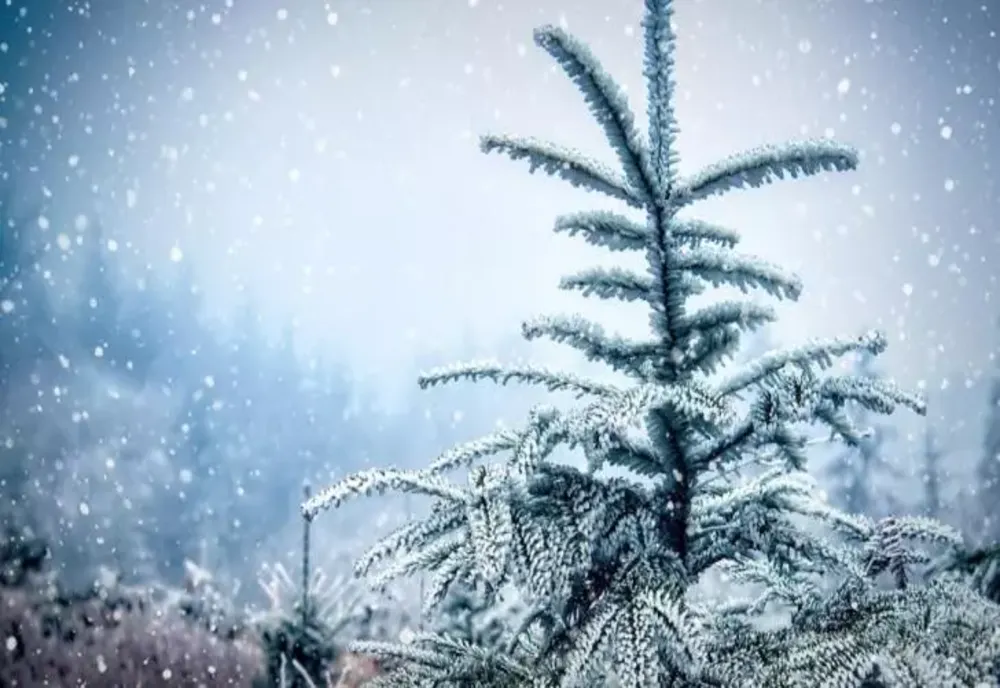 Vremea în februarie: temperaturi ușor peste normal și precipitații extinse
