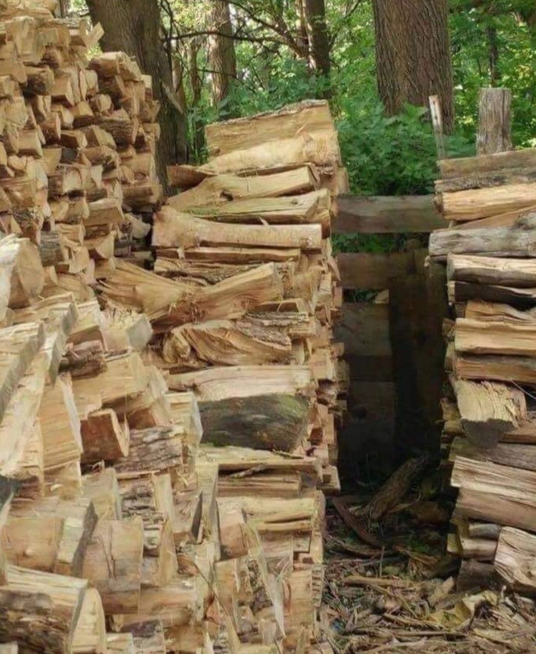 Afacerile cu lemne aduc profituri uriașe