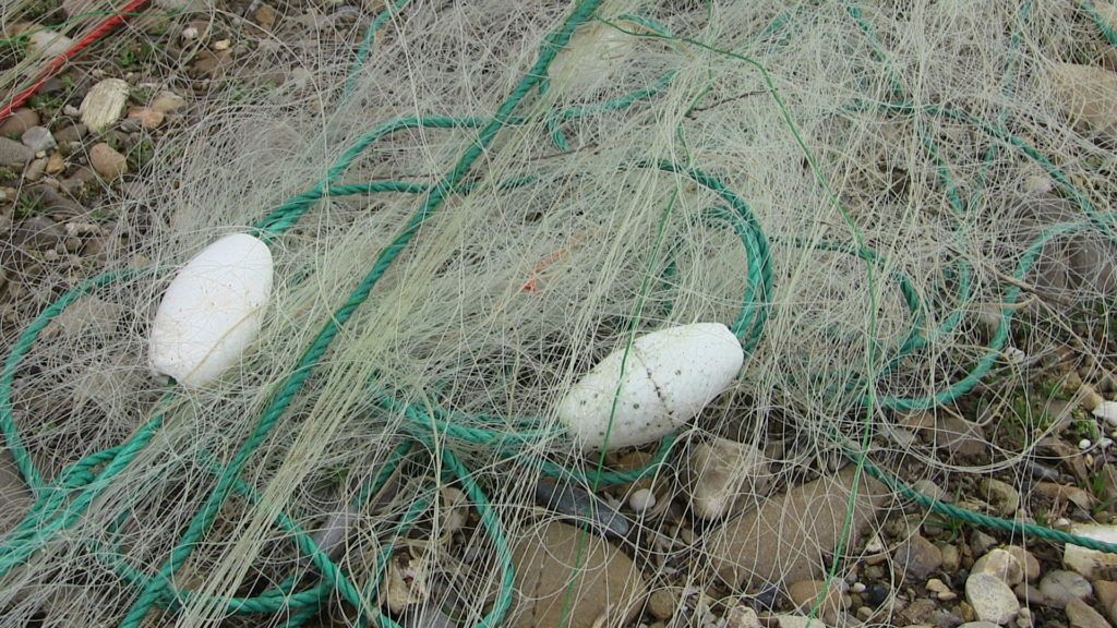 monofilament