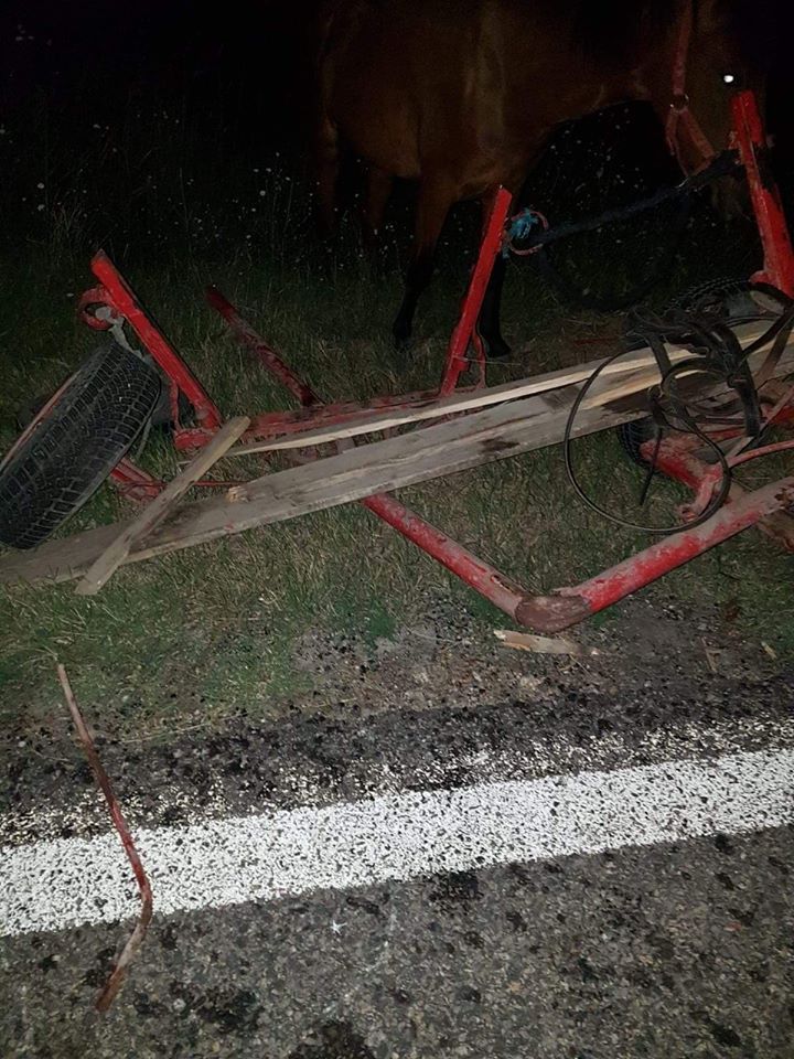 accident caruta 2