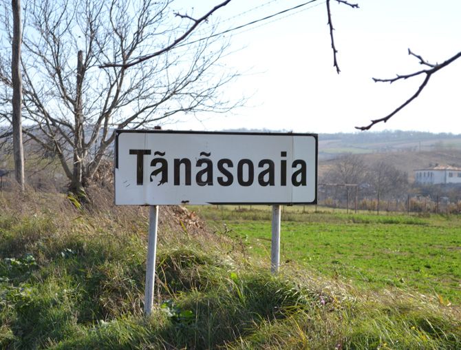 tanasoaia