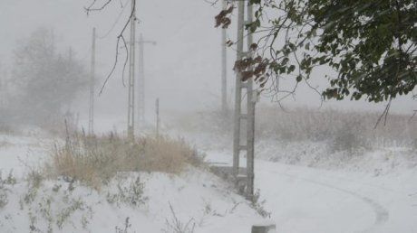 zapadaaa_vrancea_45823200