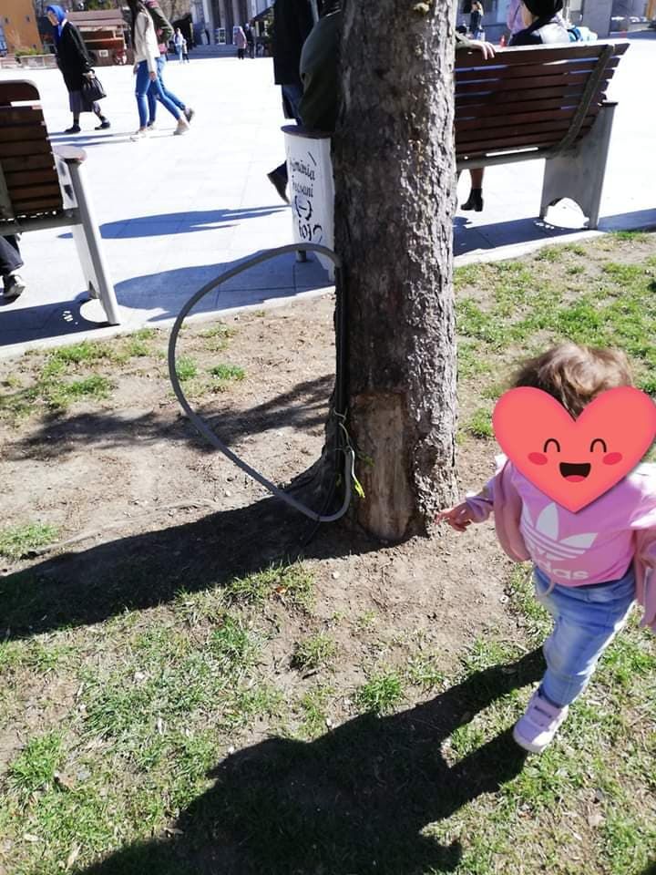 copii pericol parc