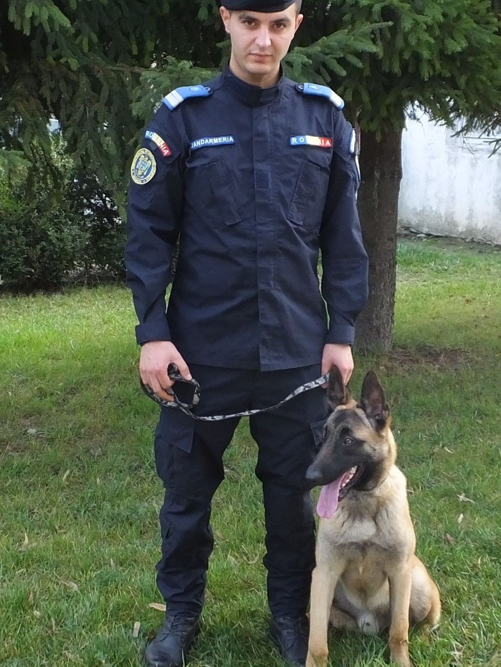 caine jandarm