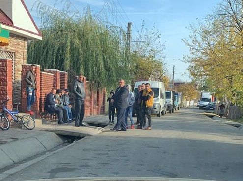 vot sl bradului