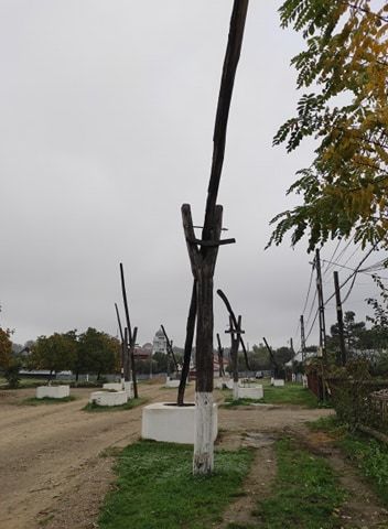 fantani paunesti