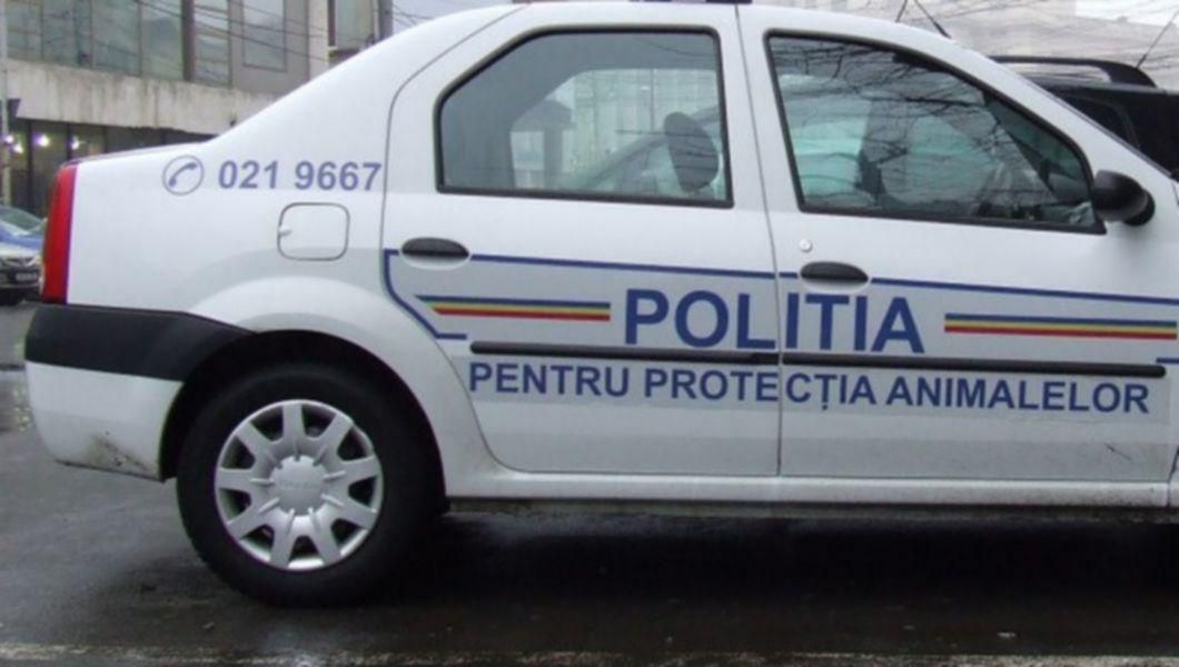 politia-animalelor