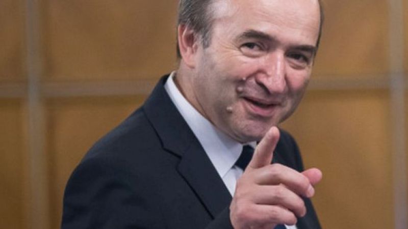 tudorel toader