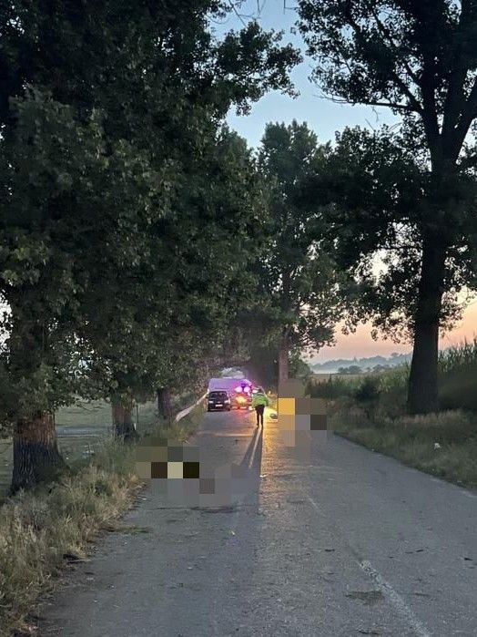 accident-7