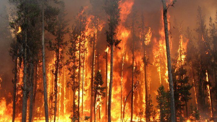 incendiu_55704600_09221700_03446100_36002900