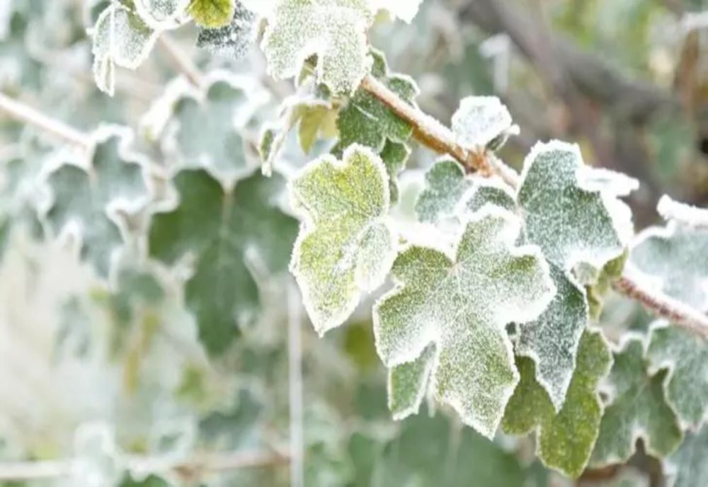 Vremea 8 decembrie - Ninsori și temperaturi scăzute