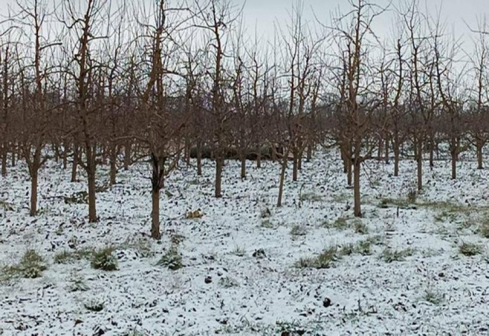 Sprijin financiar pentru agricultorii afectați de condiții meteo extreme