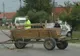 Pufești: căruțaș beat, răsturnat cu atelajul pe asfalt