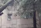 Copac prăbușit peste un bloc, la Mărășești